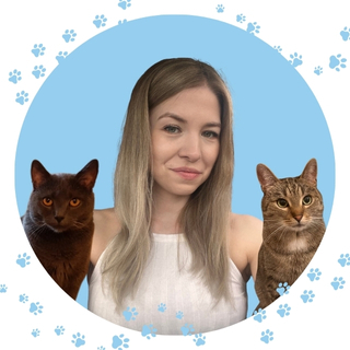 Monika Brzyska dziewczyna z szarym i burym kotem na niebieskim tle kociary.pl