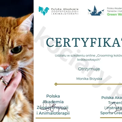 20240313_153223_0000