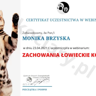 20240313_153545_0000