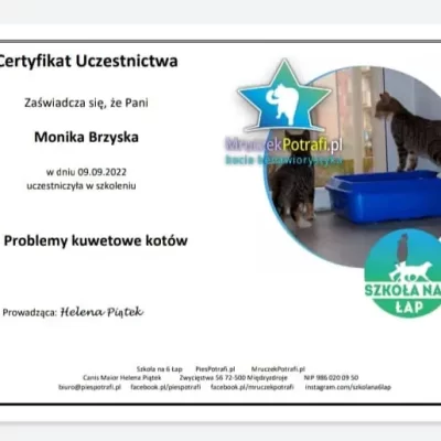 certyfikat kociary.pl problemy kuwetowe