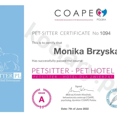 kociary.pl_20240313_153332_0000