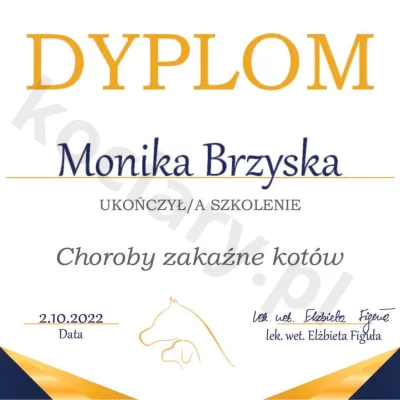 kociary.pl_20240313_153427_0000